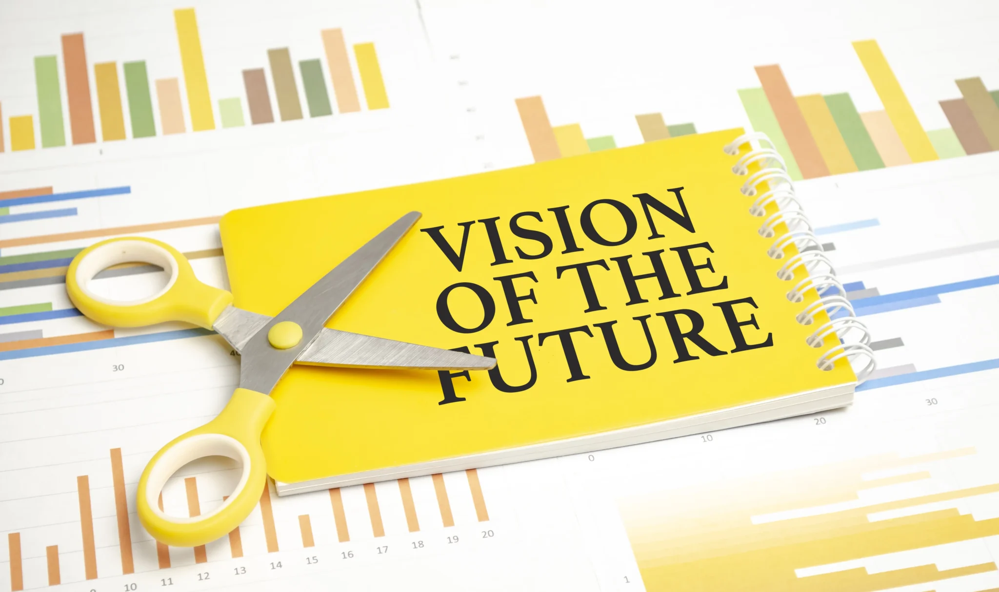 Our Vision